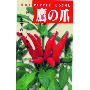 ���h�q �� �y��̒܁z ���� �i �� ��� ��؎�q ��؎� �j