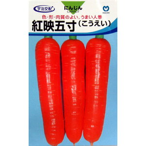 ɂ񂶂  ygfܐz  i   ؎q ؎ j