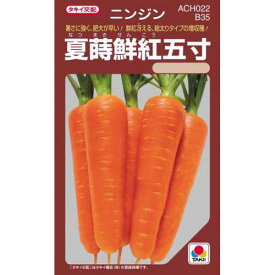 ニンジン 種 【 夏蒔鮮紅五寸 】 小袋(RF 8ml) ( ニンジンの種 )
