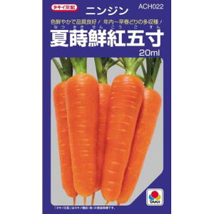 ɂ񂶂  y ĎNgܐ z q ܁i20mlj i   ؎q ؎ j