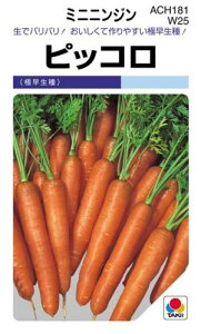 jW  y sbR z  GF ( jW̎ )