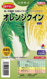 白菜 種 【オレンジクイン】 ペレット100粒 （ 種 野菜 野菜種子 野菜種 ）