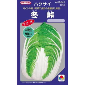 白菜 種 【 冬峠 】 小袋(約2.2ml) ( 白菜の種 )