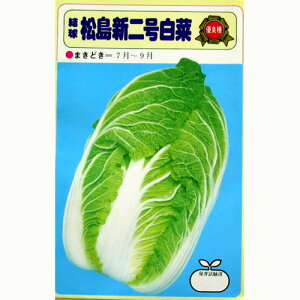   yV񍆁z 8ml i   ؎q ؎ j