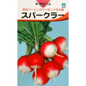 卪  yXp[N[z ܁i10mlj i   ؎q ؎ j