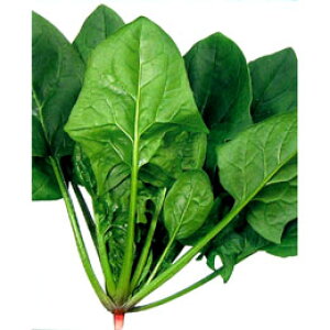 zE\E  y AgX z 1dl ( zE\E̎ )