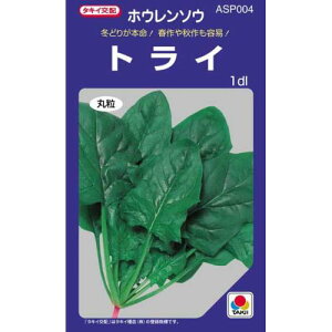 zE\E  ygCz 1dl i   ؎q ؎ j 