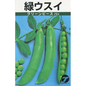 GhE  y GhE ΃EXC z 1L i   ؎q ؎ j