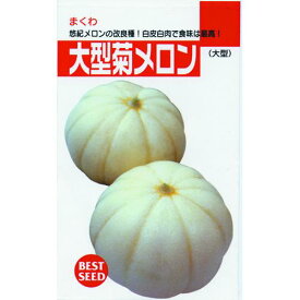 メロン 種 【菊メロン】 小袋 （ 種 野菜 野菜種子 野菜種 ）