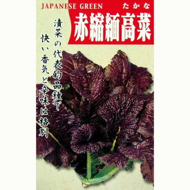 【 赤縮緬高菜 】 種子 小袋（約8ml） （ 種 野菜 野菜種子 野菜種 ）
