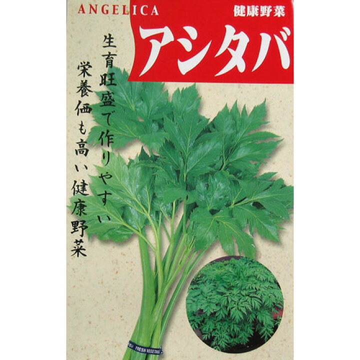 楽天市場 あしたば 種子 小袋 約5ml 種 野菜 野菜種子 野菜種 菜園くらぶ 家庭菜園の専門店