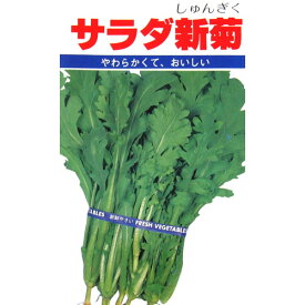 春菊 種 【 サラダ新菊 】 小袋（20ml） ( 春菊の種 )