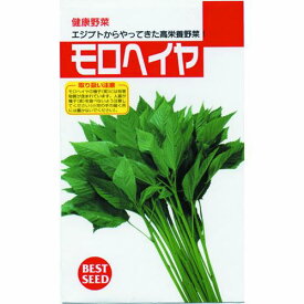 【 モロヘイヤ 】 種子 小袋（約1ml） （ 種 野菜 野菜種子 野菜種 ）