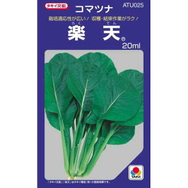小松菜 種 【楽天】 20ml （ 種 野菜 野菜種子 野菜種 ）