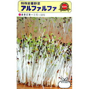 XvEg  yAt@t@[z 40ml i   ؎q ؎ j