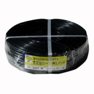 ^nEXp̓nEXoh#307 500m 