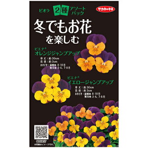 Ԃ̎Zbg y ~łԂy rI2 z 珬