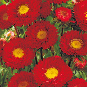 AX^[  y Ȃ z  i AX^[̎ Ԃ̎ j