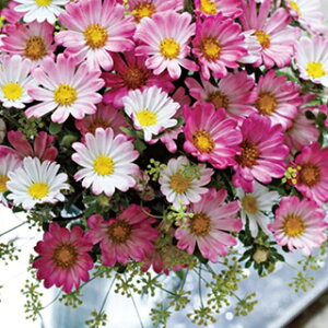 AX^[  y ll [YtXg z  i AX^[̎ Ԃ̎ j