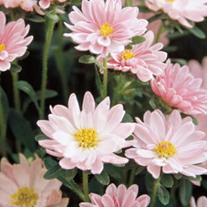 AX^[  y ii T[sN z  i AX^[̎ Ԃ̎ j