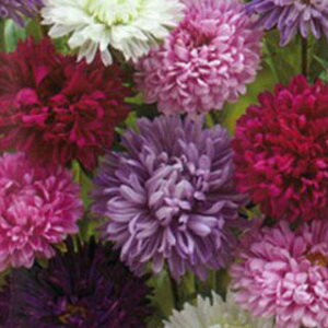 AX^[  y VK~bNX z  i AX^[̎ Ԃ̎ j