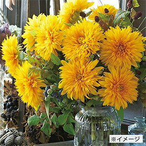 Ђ܂  y TLO z  i Ђ܂̎ j