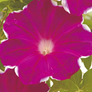   y g z ܁i15j i̎ Ԃ̎ j