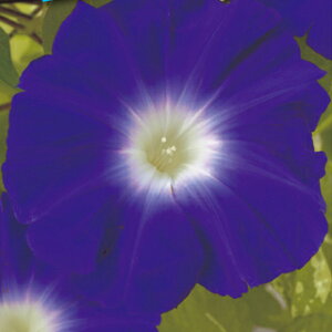   y ̌ z ܁i15j i̎ Ԃ̎ j