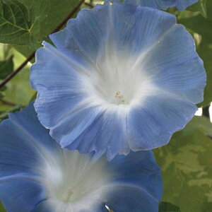   y  z ܁i10j i̎ Ԃ̎ j