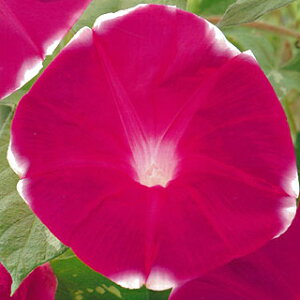   y ̋ z ܁i15j i̎ Ԃ̎ j