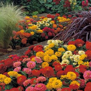 SiWjAj  y F1h[h  z ܁i40j i SiWjAj̎ Ԃ̎ j