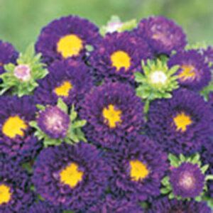 AX^[  y { p[v z 珬 i AX^[̎ Ԃ̎ j