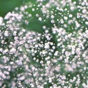 hݑ  y d炫 z 珬 i hݑ̎ Ԃ̎ j