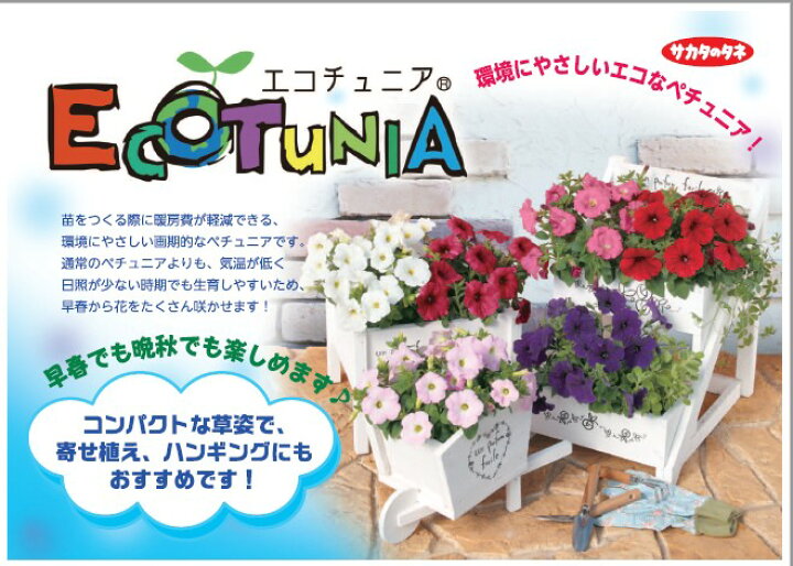 楽天市場 ペチュニア 種 エコチュニア レッド ペレット1000粒 ペチュニアの種 花の種 菜園くらぶ 家庭菜園の専門店 楽天市場 ペチュニア 種 エコチュニア レッド ペレット1000粒 ペチュニアの種 花の種 菜園くらぶ 家庭菜園の専門店
