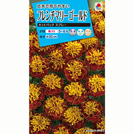 楽天市場 マリーゴールド 種の通販