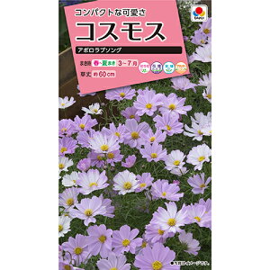 RXX  y A|u\O z  i RXX̎ j