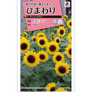 Ђ܂  y F1_VOT z  i Ђ܂̎ j