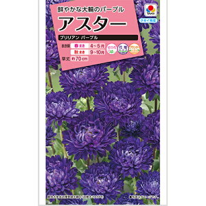 AX^[  y uA p[v z  i AX^[̎ j