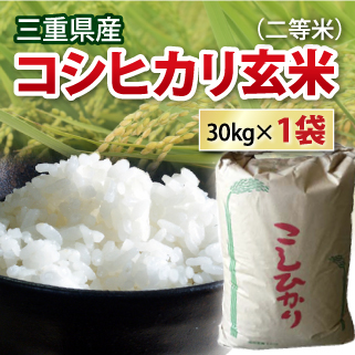 楽天市場】玄米（品種（米）:コシヒカリ） | 人気ランキング1位 