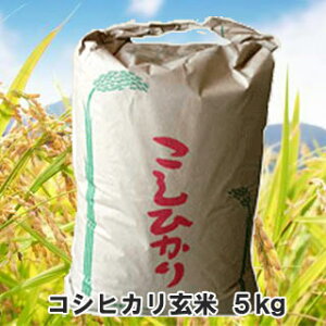 �y �ߘa7�N�Y �z�R�V�q�J�� �����Ђ��� ���� 5kg �O�d���Y ��������