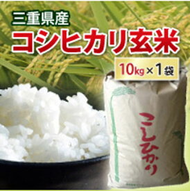 【 令和5年 】 三重県産 コシヒカリ 玄米 10kg お米 こめ コメ 【送料無料】（小袋 小分け 備蓄）