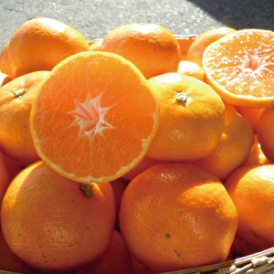 `Ã}`~݂񒆋ʃTCY 5kg Odl