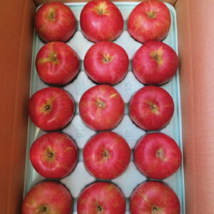ƒpTӂ 3kg@7`10 쌧Y