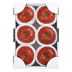 ݉̎R`YTӂGi 2kg@5`6 R`Y