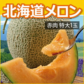 北海道キングメロン（特大1玉）赤肉 2kg　沖縄・北海道・離島は配送不可