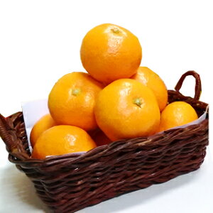 }`~݂ʃTCY 5kg Odl