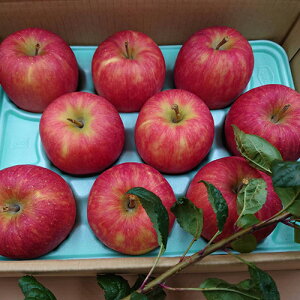 VimXC[g@3kg@6`9 쌧Y