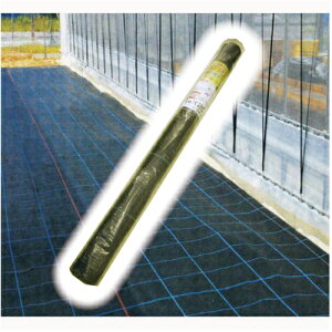 hV[g 1m×10m [ G΍ Gh~ ̔ ƒ؉ ]