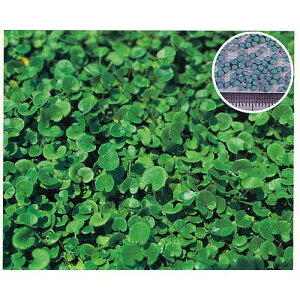 ΔEq  y _CJh z q 1kg i   ؎q ؎ j