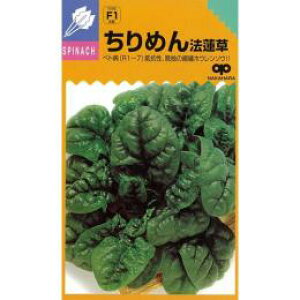 zE\E  y ߂ z (25ml) ( zE\E̎ )